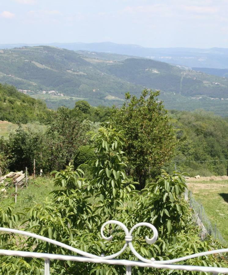 Вилла Terra Mirna Vizinada Экстерьер фото